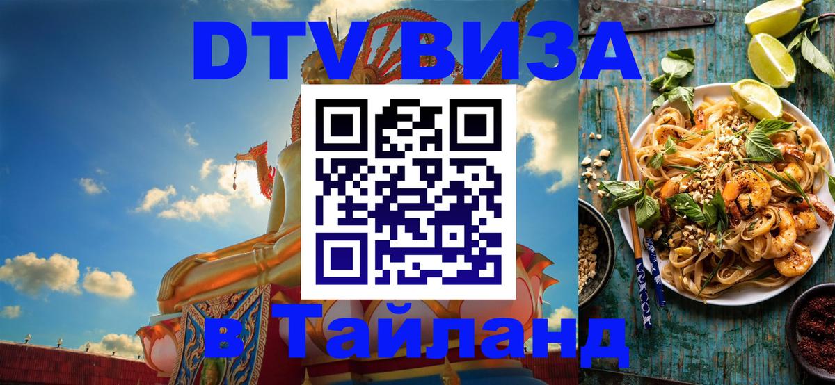 Оформление DTV визы под ключ: стоимость и тарифы, только загранпаспорт - 18.11.2025 